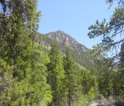 Mont 03 P007
